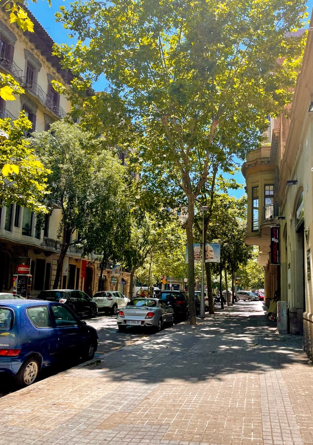 Beautiful day in Barcelona